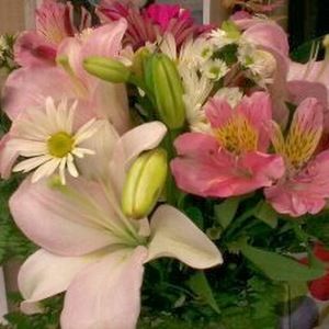 Meet your Posher, Glenda